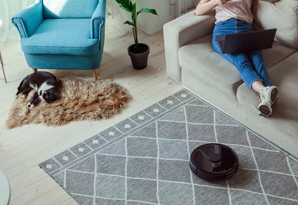 cleaning robot vacuum and mop